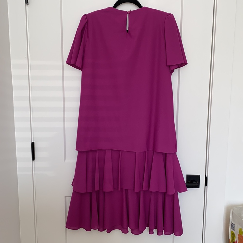 Vintage T Fe Magenta Drop Waist Dress - Picture 8 of 14